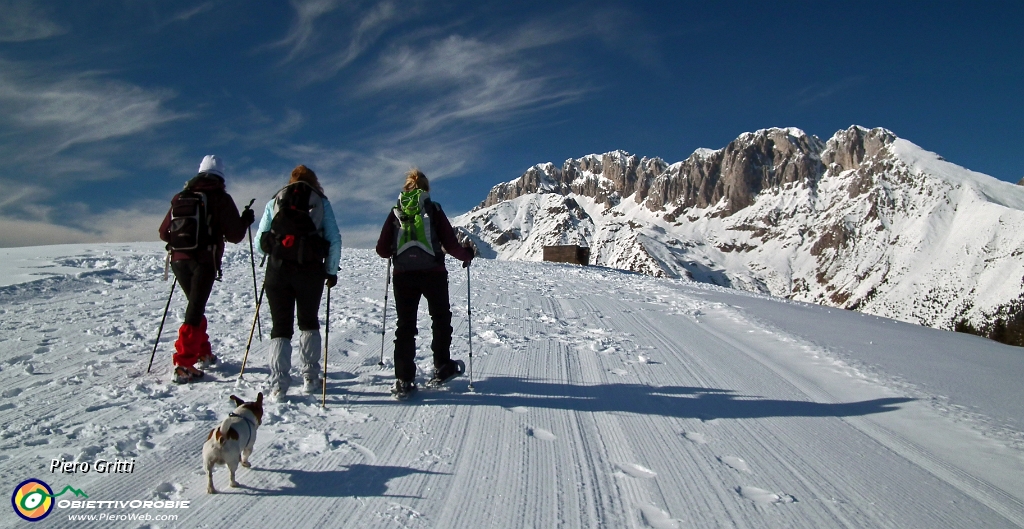 15 splendida bianca di neve!.JPG